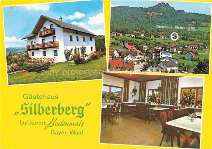 Bodenmais Regen Bayern Gaestehaus Silberberg Gastraum Panorama