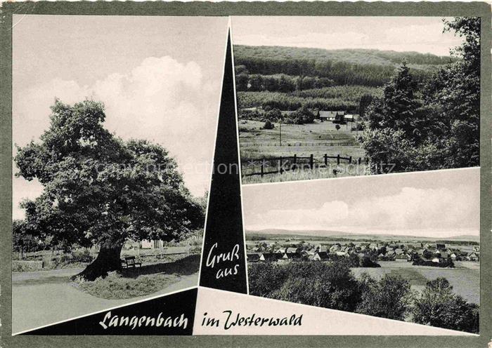Langenbach Kirburg Westerwaldkreis Alter Baum Panorama