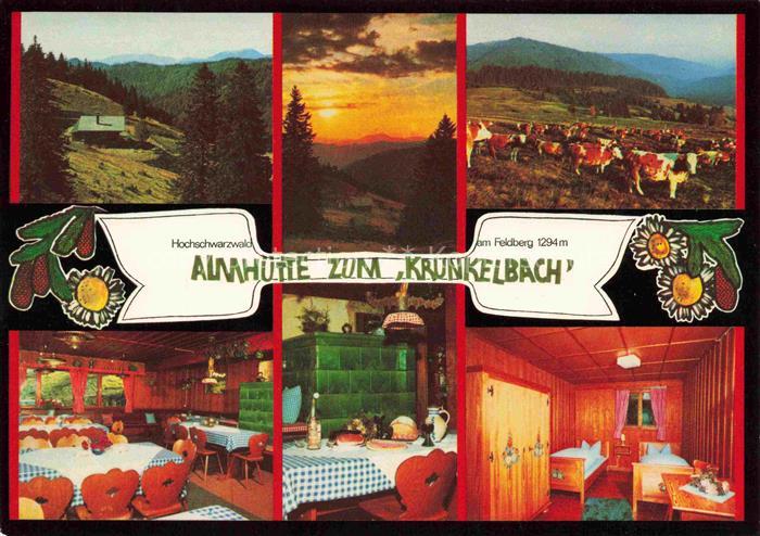 Bernau Schwarzwald Almhuette zum Krunkelbach Gastraeume Panorama