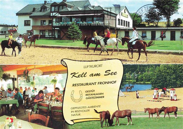 Kell See Trier Hochwald Rheinland-Pfalz Restaurant Fronhof Pferdegestuet Reitanl