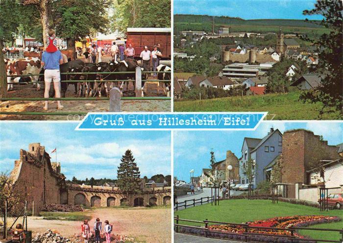 Hillesheim Eifel Viehauktion Panorama Mauerruine Ortspartie