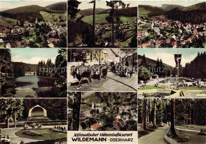 Wildemann Harz Panorama Seepartie Viehauftrieb Musikpavillon Park