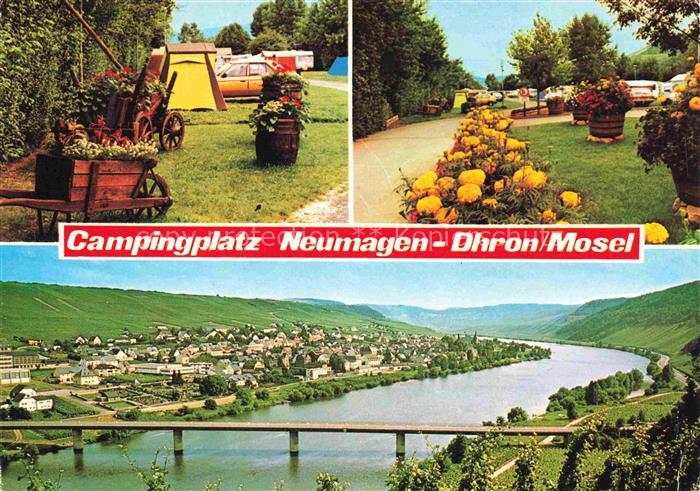 Neumagen-Dhron Campingplatz Panorama Moselpartie