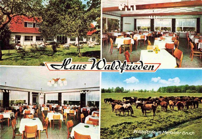 DueLMEN NRW Gasthaus Waldfrieden Gastraeume Wildpferde im Merfelder Bruch