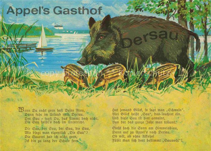 Dersau Schleswig-Holstein Hotel Appel's Gasthof Ploener See Wildschwein Kuenstle