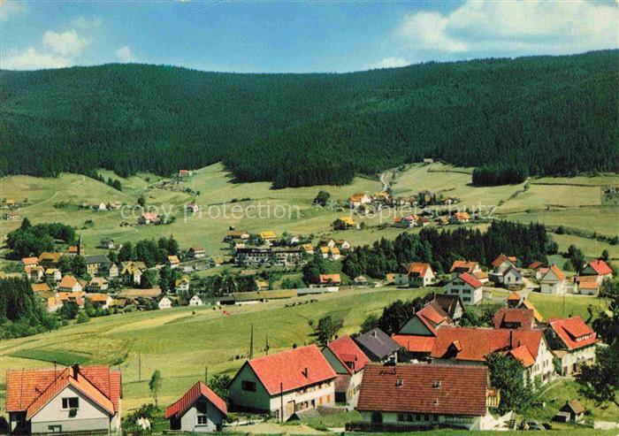 Mitteltal Schwarzwald Panorama