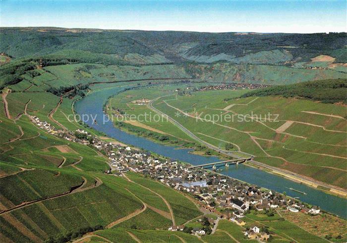 Reil Mosel Panorama Moseltal