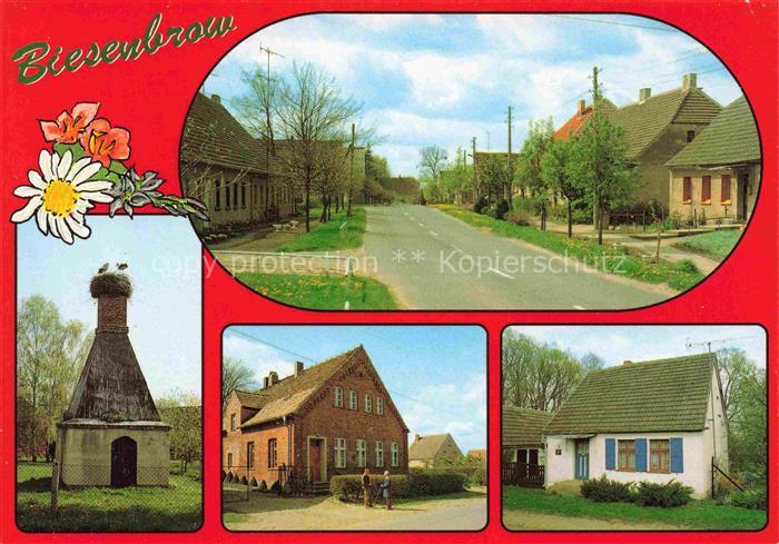 Biesenbrow Angermuende Uckermark Brandenburg Dorfstrasse Storchenturm am Zollend