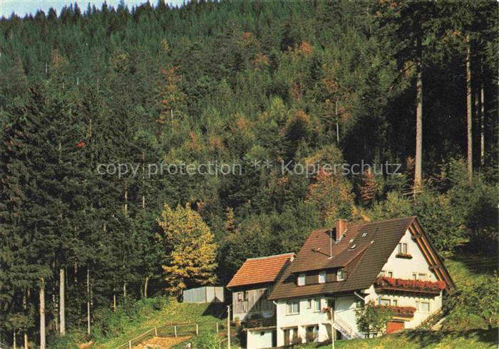 BAD RIPPOLDSAU-SCHAPBACH Gaestehaus Haus Franz Schmid am Waldrand