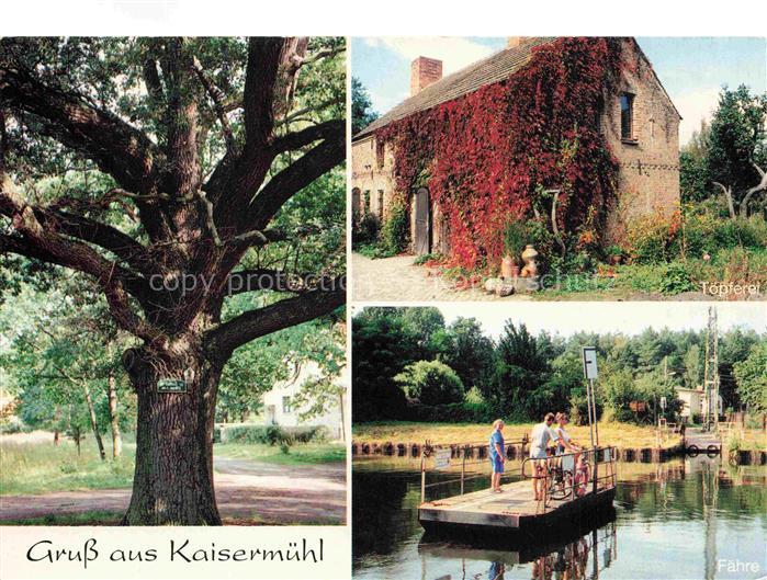 Kaisermuehl Muellrose Brandenburg Alter Baum Toepferei Faehre