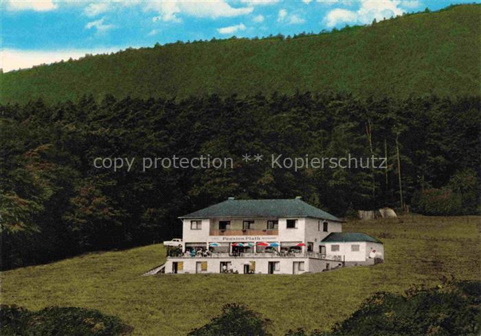 Hallgarten Rheingau Pension Platz Café Restaurant