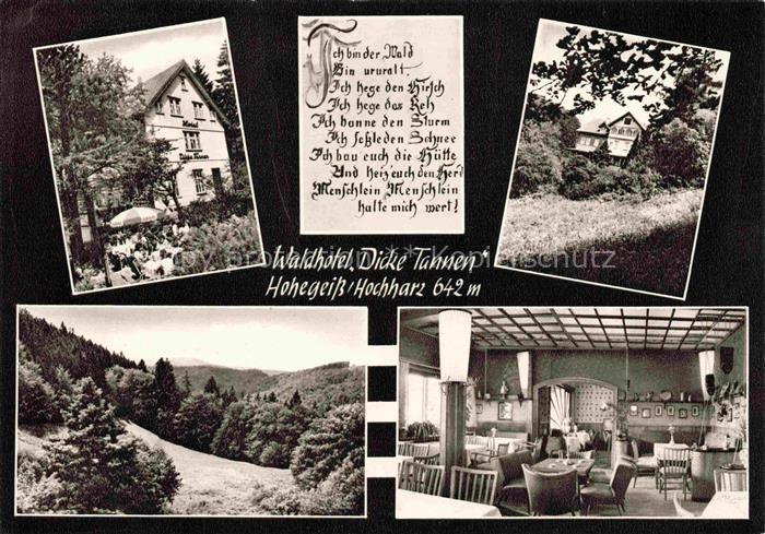 Hohegeiss Braunlage Harz Waldhotel Dicke Tannen Gastraum Landschaftspanorama Nat