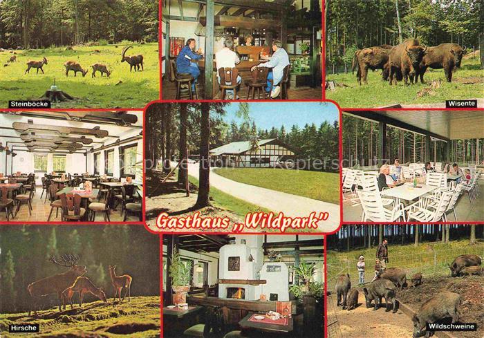 Weiskirchen Saar Gasthaus Wildpark Steinboecke Wisente Hirsche Wildschwine