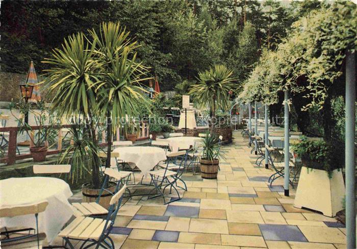 Wachenheim Weinstrasse Weisses Roessl Terrasse