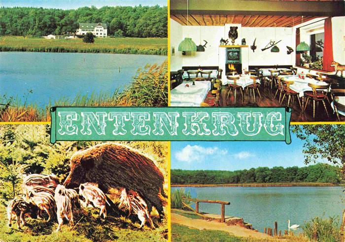 Bad Meinberg Horn-Bad Meinberg NRW Waldhotel Restaurant Entenkrug Partie am See