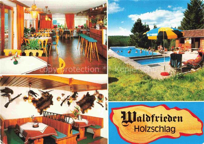 Holzschlag Bonndorf BW Pension Waldfrieden mit Gaestehaus Gastraum Swimming Pool