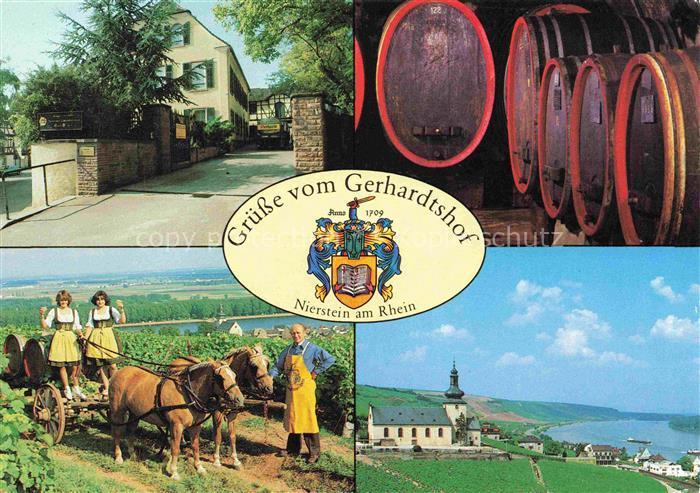 Nierstein Rhein Gerhardtshof Weinkeller Weinlese Panorama Blick ins Rheintal