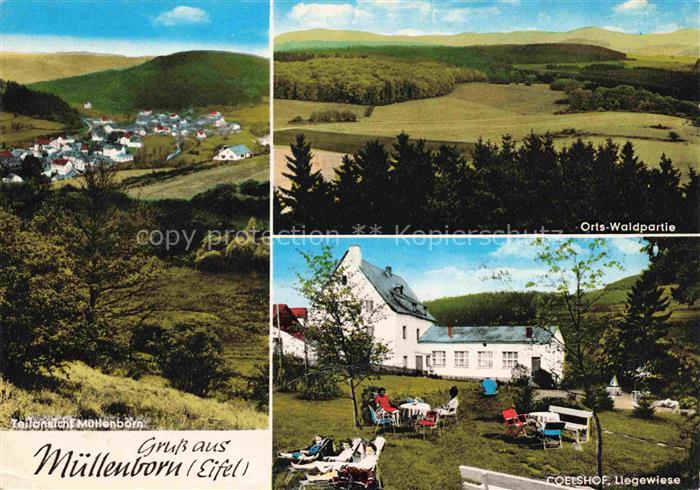 Muellenborn Panorama Landschaft Coelshof Liegewiese