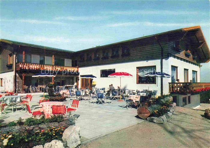 Bad Sachsa Osterode Harz Hotel Berghof Ravensberg Terrasse