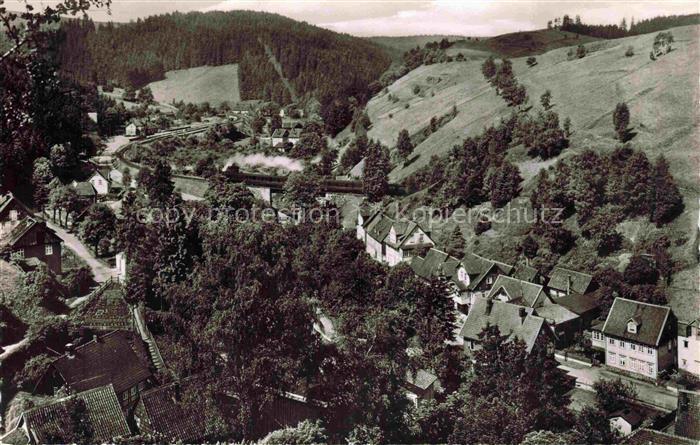 Wildemann Harz Fliegeraufnahme