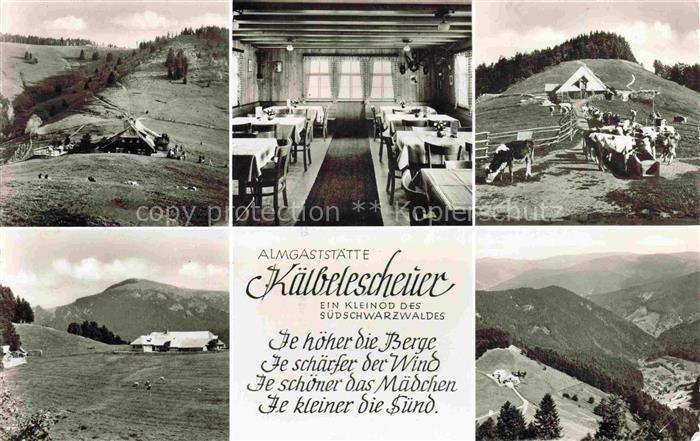 Untermuenstertal Muenstertal BW Almgststaette Kaelbelescheuer Panorama