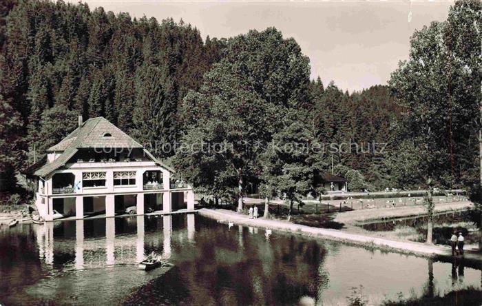 FREUDENSTADT BW Cafe Pension Langenwaldsee mit Freischwimmbad