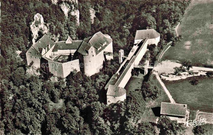 Donautal Burg Wildenstein Fliegeraufnahme