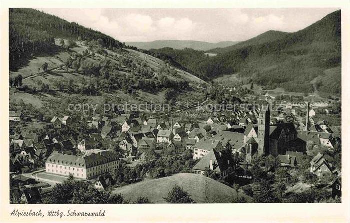 Alpirsbach Panorama Kloster