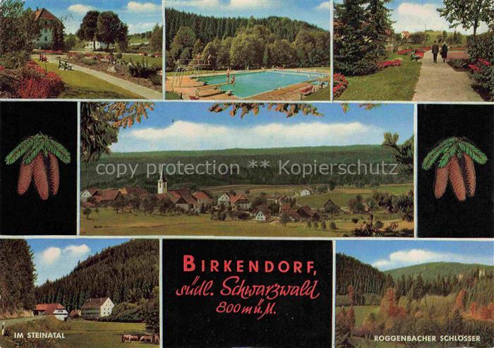 Birkendorf uehlingen-Birkendorf Panorama Schwimmbad Park Im Steinatal Roggenbach