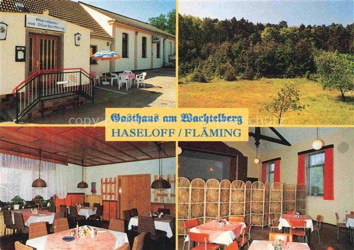 Haseloff Gasthaus am Wachtelberg Gastraeume Waldpartie