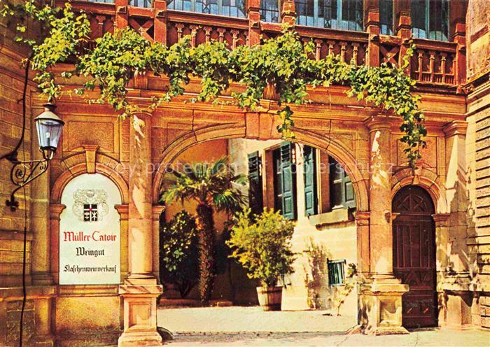 NEUSTADT  HAARDT Weinstrasse Weingut Mueller Catoir