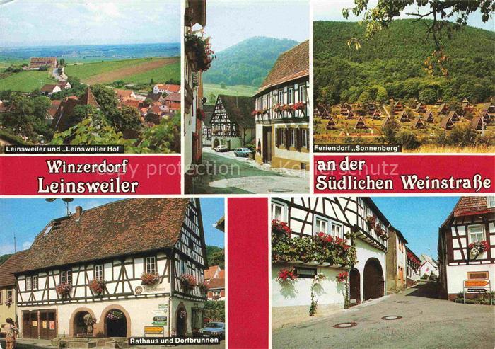 Leinsweiler Panorama Winzerdorf am Pfaelzerwald Leinsweiler Hof Rathaus Dorfbrun