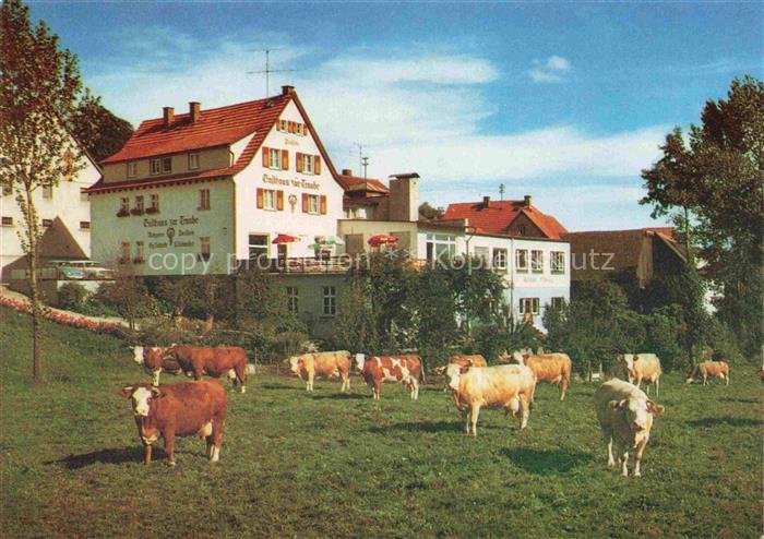 Winterkasten Lindenfels Hessen Gasthaus Pension zur Traube Viehweide Kuehe