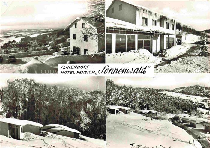 Langfurt Feriendorf Hotel Pension Sonnenwald Winterpanorama Bayerischer Wald