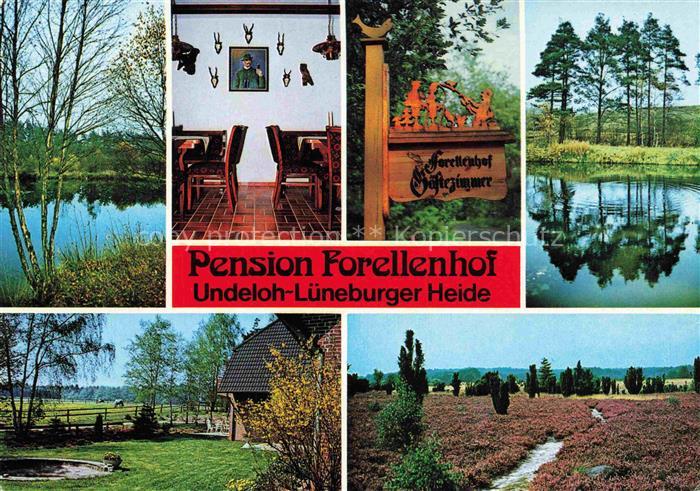 Undeloh Pension Forellenhof Landschaftspanorama Lueneburger Heide