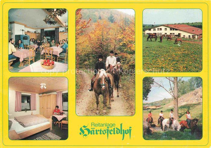 Bopfingen Ipf Hotelpension Reitanlage Haertsfeldhof Ausritte Pferdekoppel