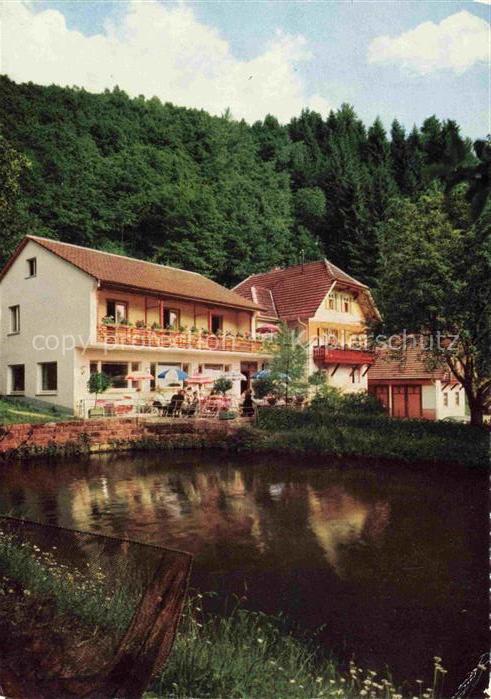 Loecherberg Oberharmersbach Gaestehaus Haus Schwarzwald-Idyll Fischteich