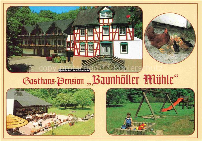 Emmelshausen Gasthaus Pension Baunhoeller Muehle Urlaub auf dem Bauernhof Huehne
