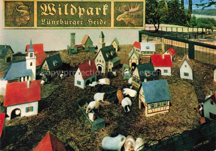 Hanstedt Nordheide Lueneburger Heide Stadt der Meerschweine im Wildpark Luenebur