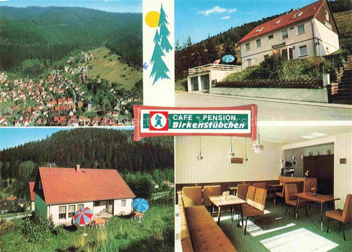 Lautenthal Harz Langelsheim Goslar Luftaufnahme Pension Café Birkenstuebchen Gas