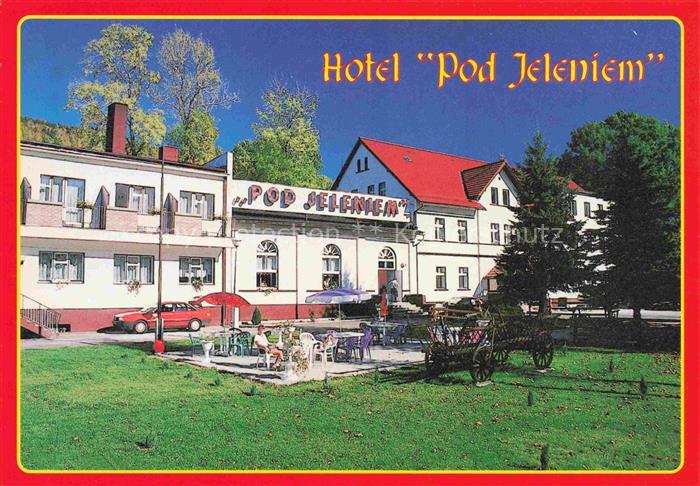 Swieradow Zdroj Bad Flinsberg PL Hotel Pod Jeleniem