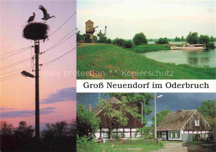 Gross Neuendorf Oderbruch Storchennest Anegesteg Bauernhaeuser