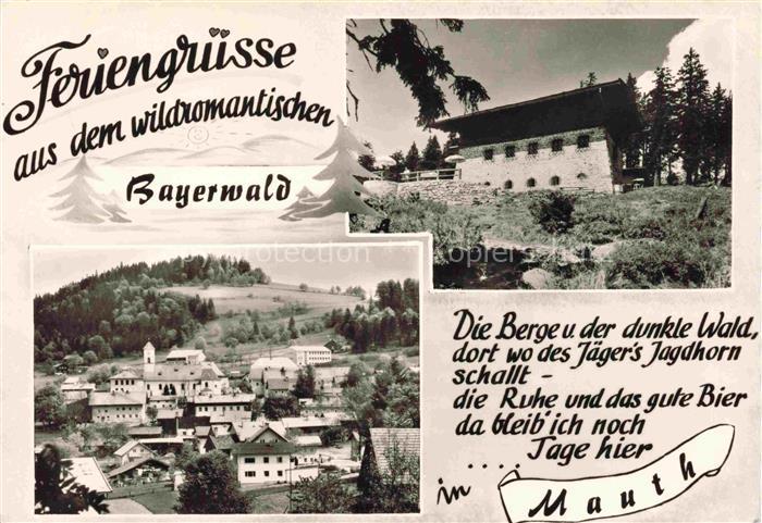 Mauth Niederbayern Panorama Bergstation