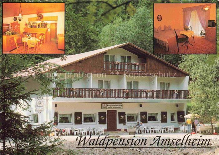 Katzhuette Thueringen Waldpension Amselheim Gastraum Zimmer