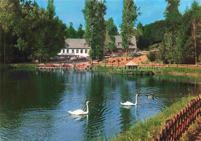 Manderscheid Eifel Cafe Restaurant Hotel Heidsmuehle Schwanenteich