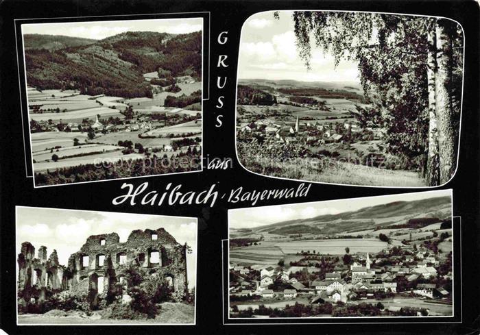Haibach Bayrischer Wald Schoenberg Bayern Panorama Ruine