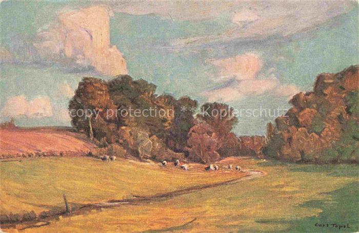 TOPEL Curt Kuenstlerkarte Nr. 107 Heimaterde