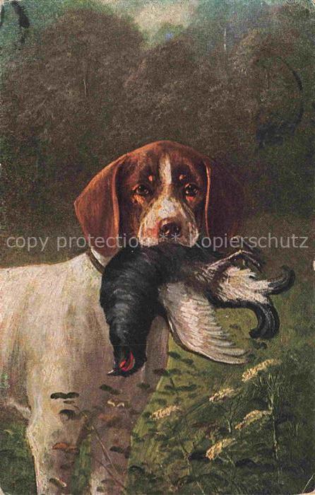 Jagd Chasse Hunting Hund Vogel