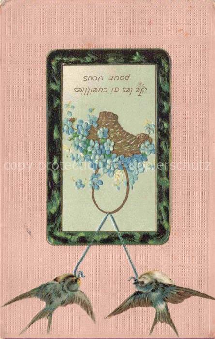 Schwalbe Swallow Hirondelle Golondria Voegel Birds Oiseaux Je les ai cueillies p