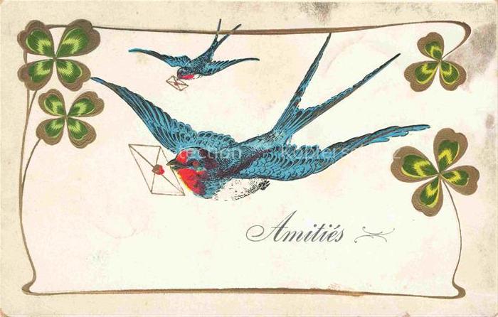 Schwalbe Swallow Hirondelle Golondria Voegel Birds Oiseaux Brief